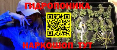 гидра Конаково