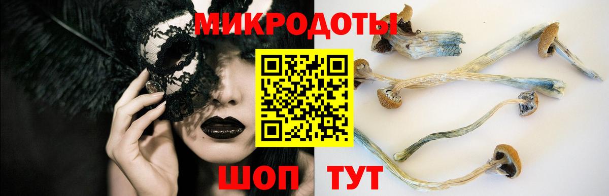 Краснокаменск  Галлюциногенные грибы Psilocybe  Вход с VPN  Галлюциногенные грибы прущие грибы 